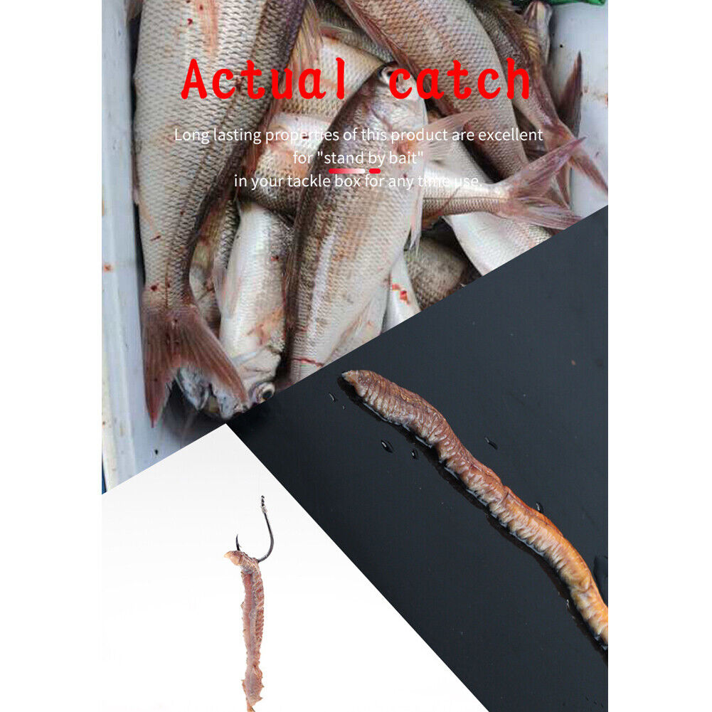 Dry Sandworms Fishing Lure Saltwater Feeder Worms Sea Fish Smell Soft Baits