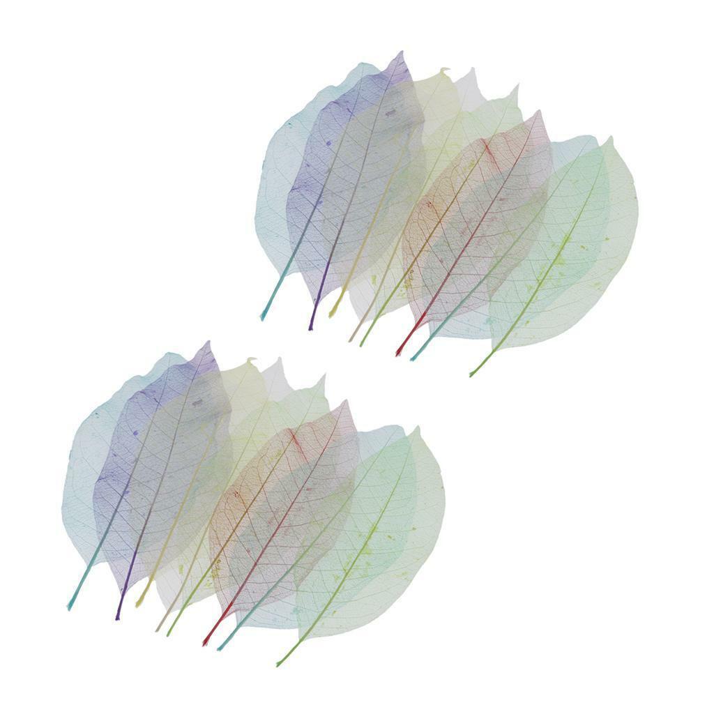 16pcs Mixed Dried Skeleton Leaves Cardmaking Bookmarks Earrings Photo Album