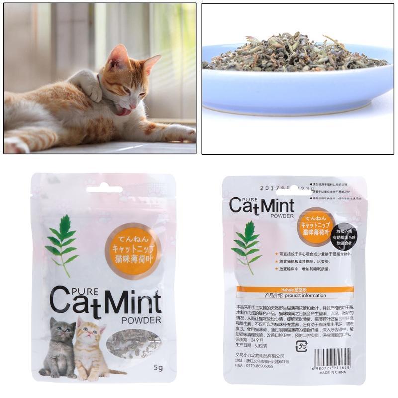 Pet Dental Care Mints Cat Mint Treats Cat for Home Pet Cat Dental Care 5g