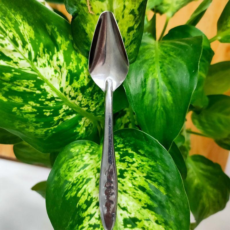 Parrot Feeding Spoon Stainless Steel Feed Scoop Animals Care Tool for Budgie
