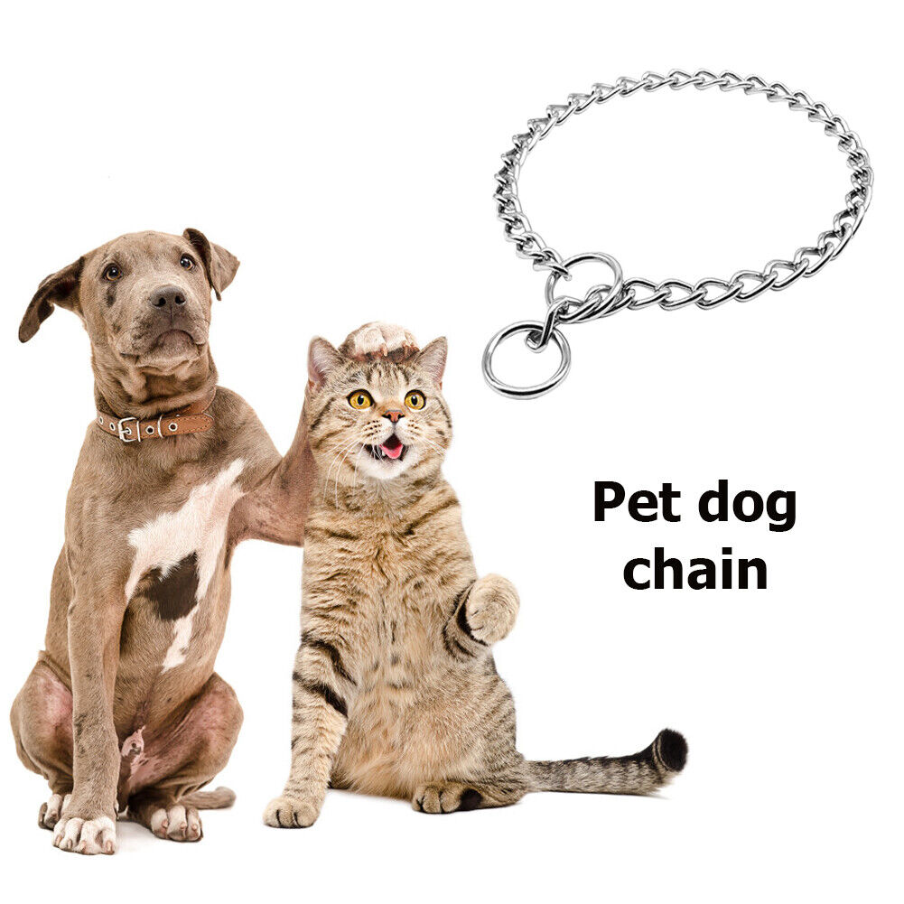 Dog Training Choker Chain Small Medium Large Dog Stainless Collar (28 inch)