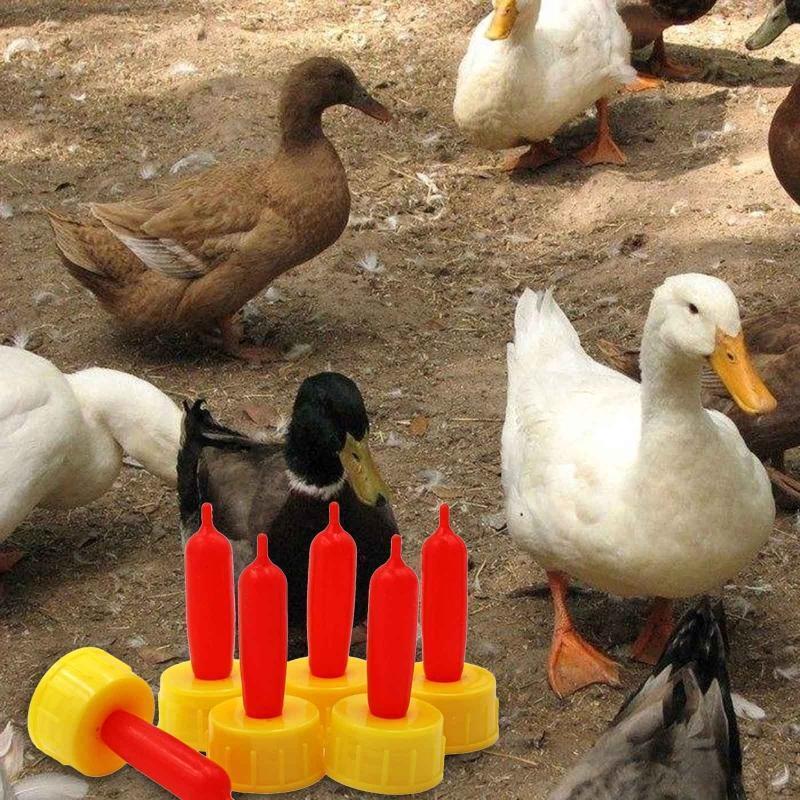 10 Pcs Puppy Dog Foal Calf Screw Coke Bottle Durable Nipple Drinker Bottle Tools