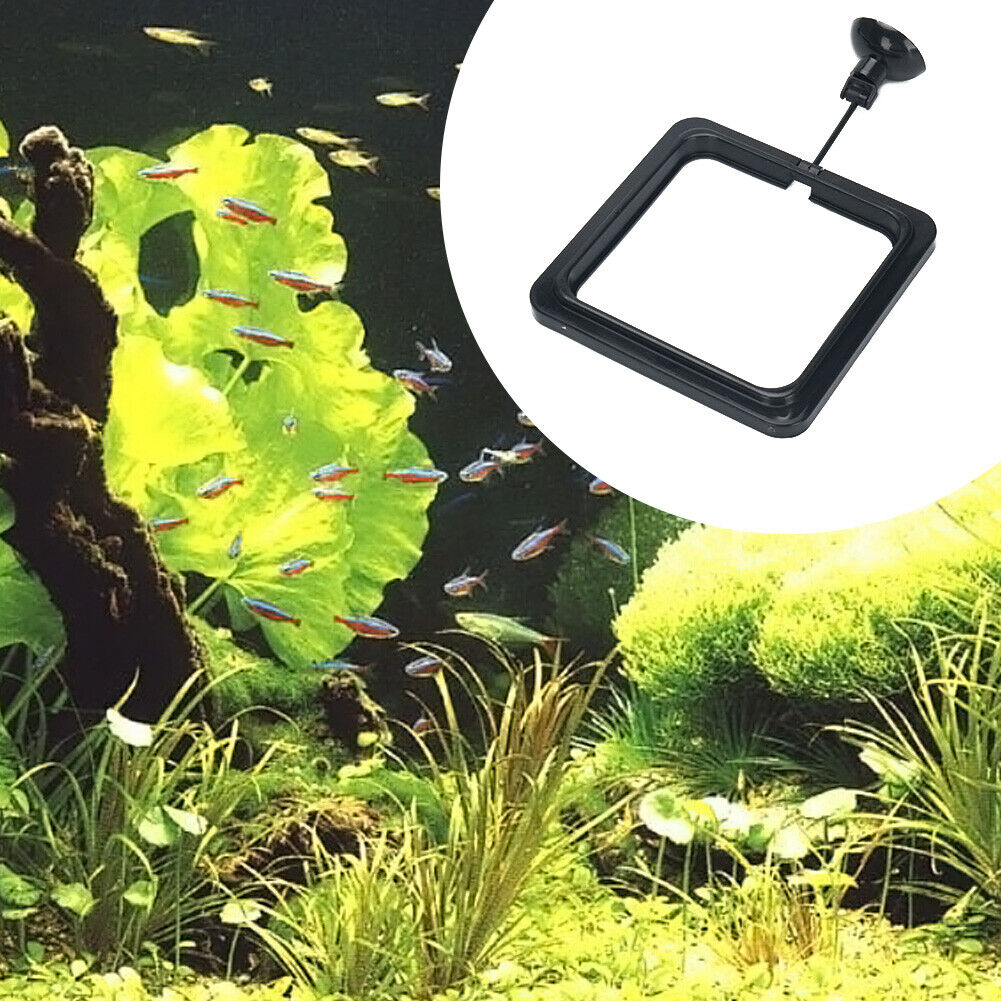 Fish Feeding Aquarium Ring Feeder Float Food Plant Buoyancy Circle (Square)