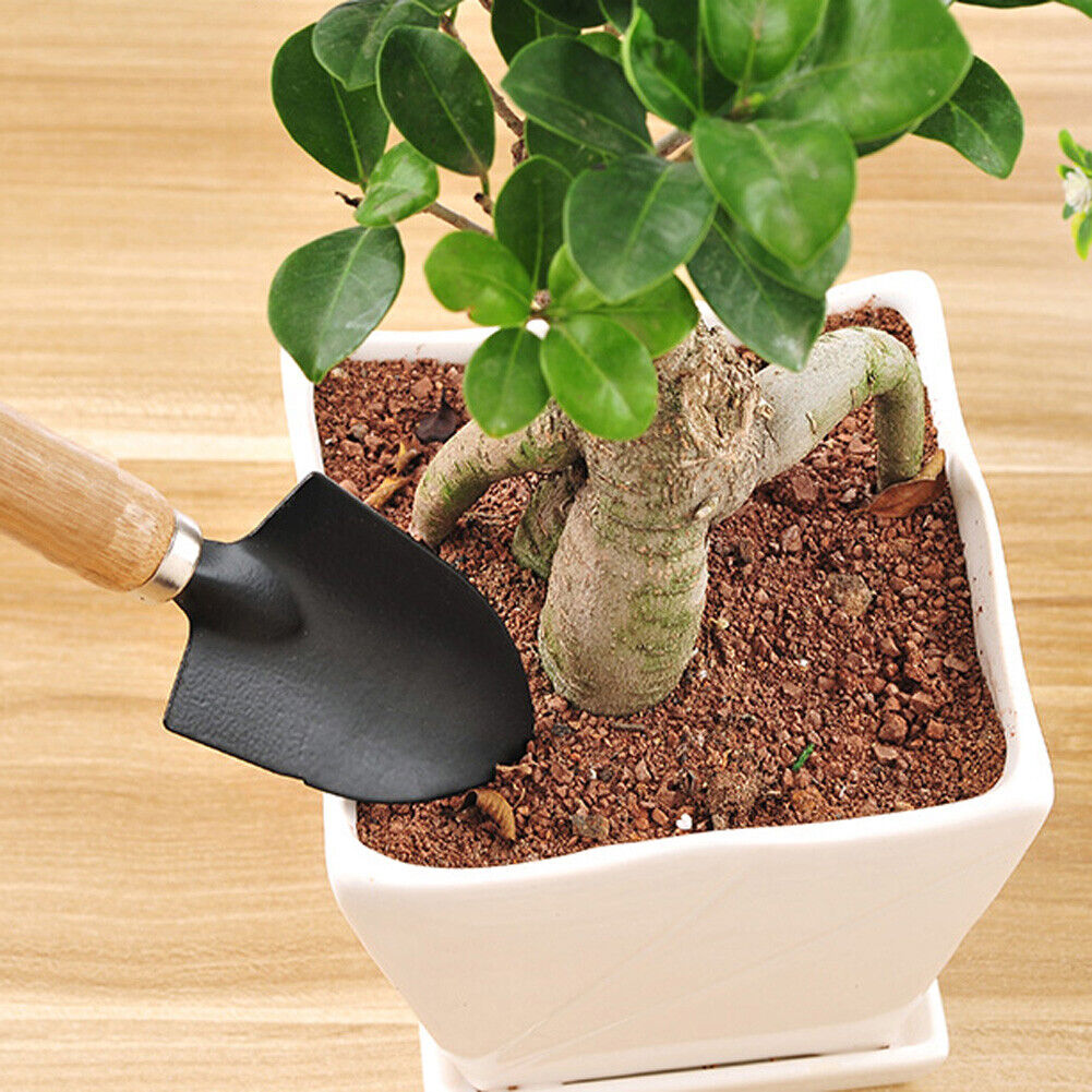 3 Piece Set Mini Garden Shovels and Claw Tool with Wooden Handles