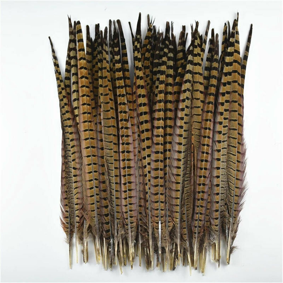 Wedding Home Craft Natural Pheasant Feathers Pheasant Tail Feathers Party