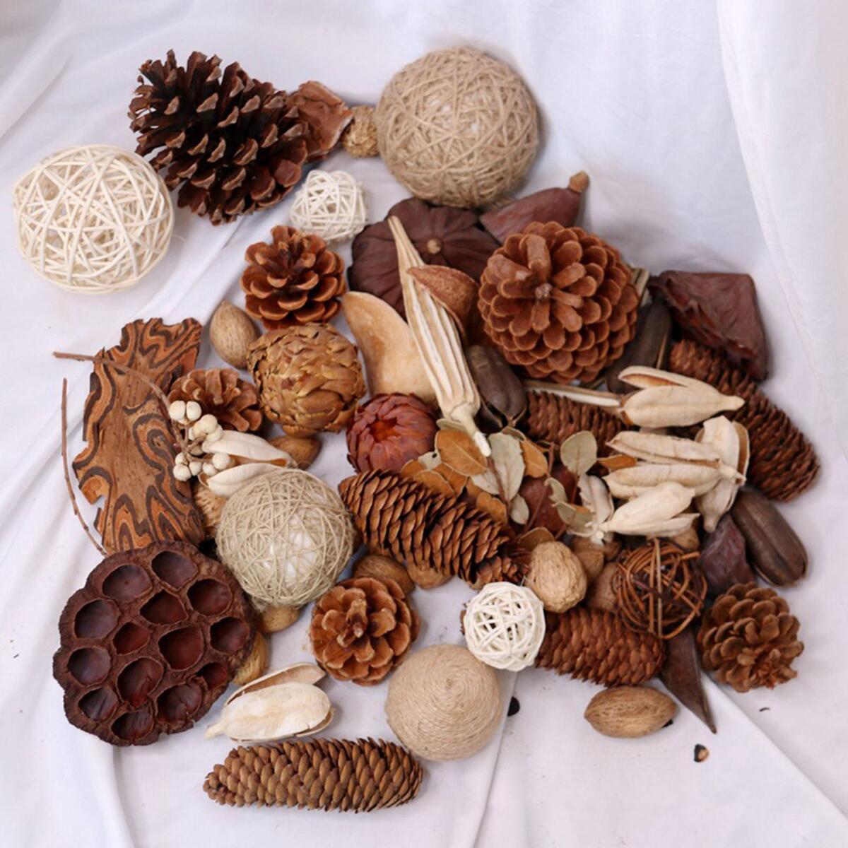 Assorted  Pine Cones  Rustic Lotus Seedpods  Cord Rattan Ball