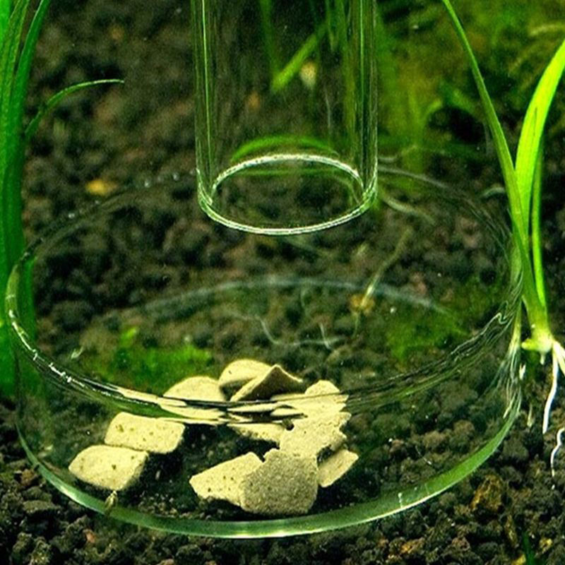 Tray Container Acrylic. Aquarium Fish Tank Clear Shrimp Feeding Food Dish Feeder