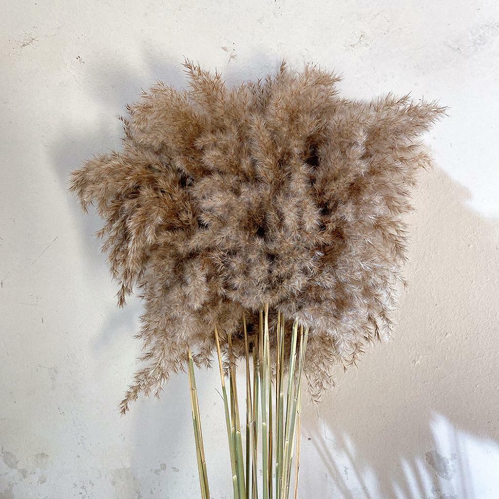 30x  Dried  Grass Reed Flower   and garden Table Decor