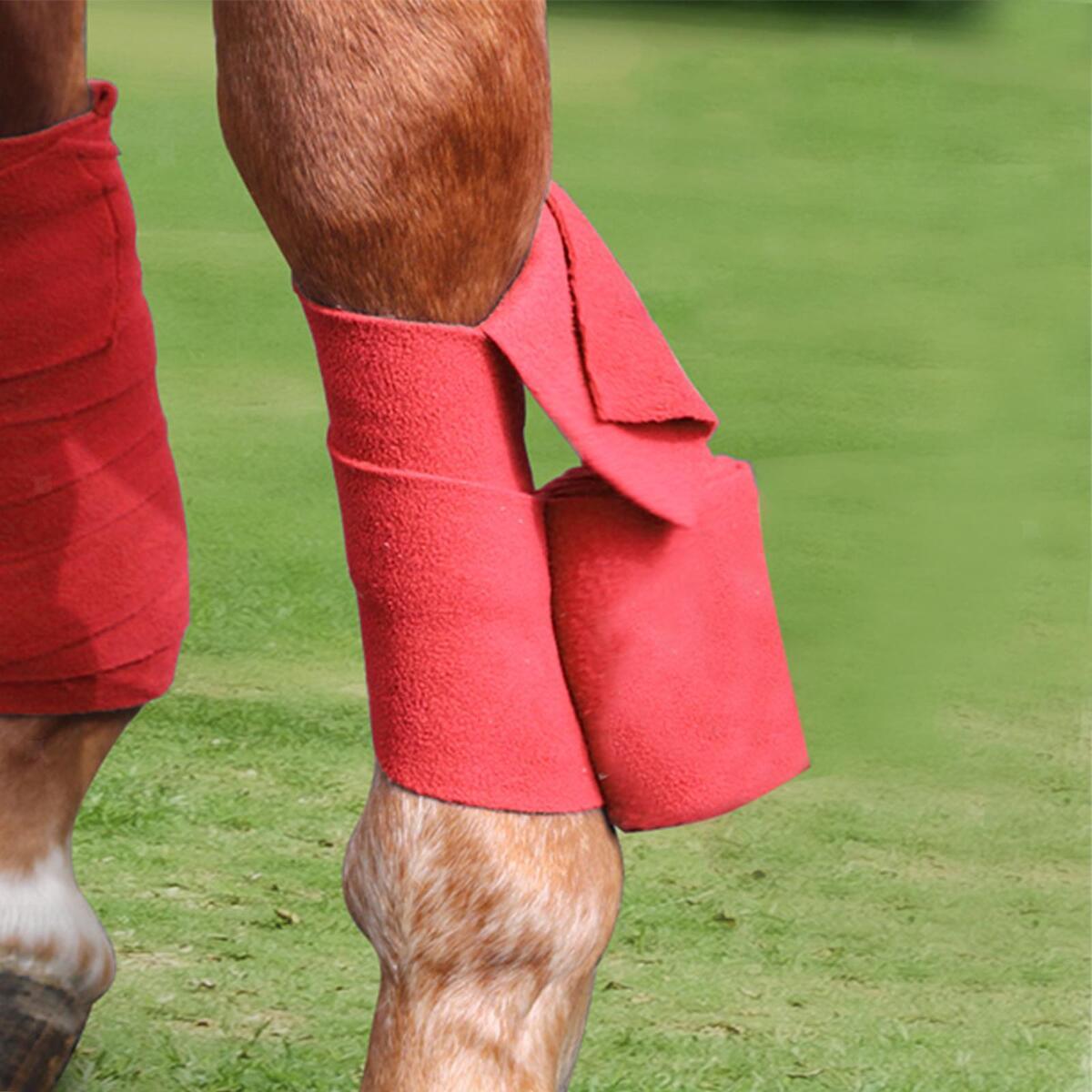 4x Horse Leg Wraps Horse Splint Support Leg Guards Equestrian Equipment Red