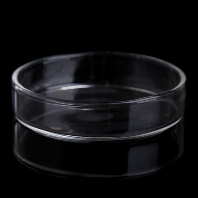 Tray Container Acrylic. Aquarium Fish Tank Clear Shrimp Feeding Food Dish Feeder