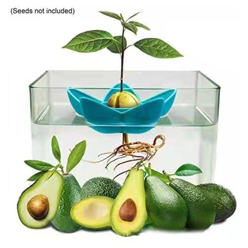 Avocado Planting Bowl Indoor Outdoor Garden Yard Practical Gardening Container
