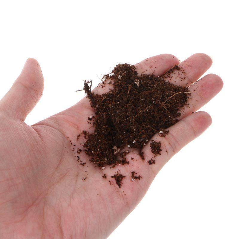 150g Mixing Nutrition Fertilizer Soil DIY Handmade Landscape Home Mini Gardening