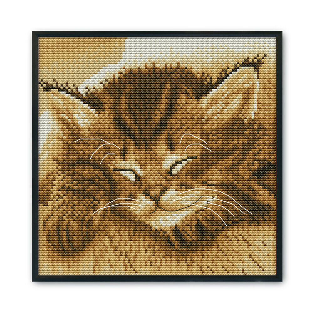 Cross Stitch Kits DIY Sleep Cat 14CT Stamped Embroidery 22 X 22cm (DA243)