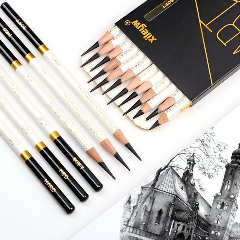 12 Pieces Professional Sketch Pencils Charcoal Pencil for Beginner  Art Painting