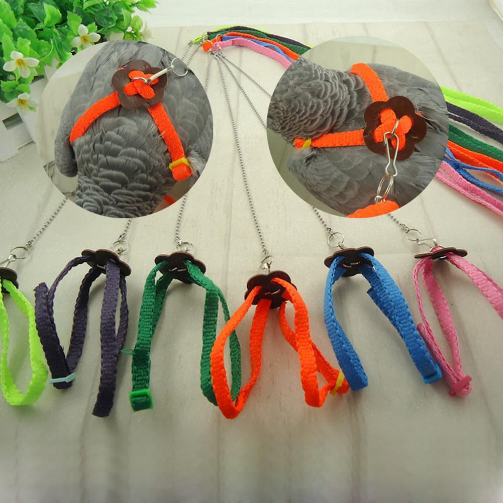 Bird Parrot Adjustable Harness & Leash Anti-bite Multicolor Light Soft
