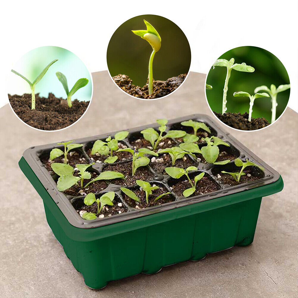 5pcs Seed Starter Trays with Grow Light Kit Adjustable temperature