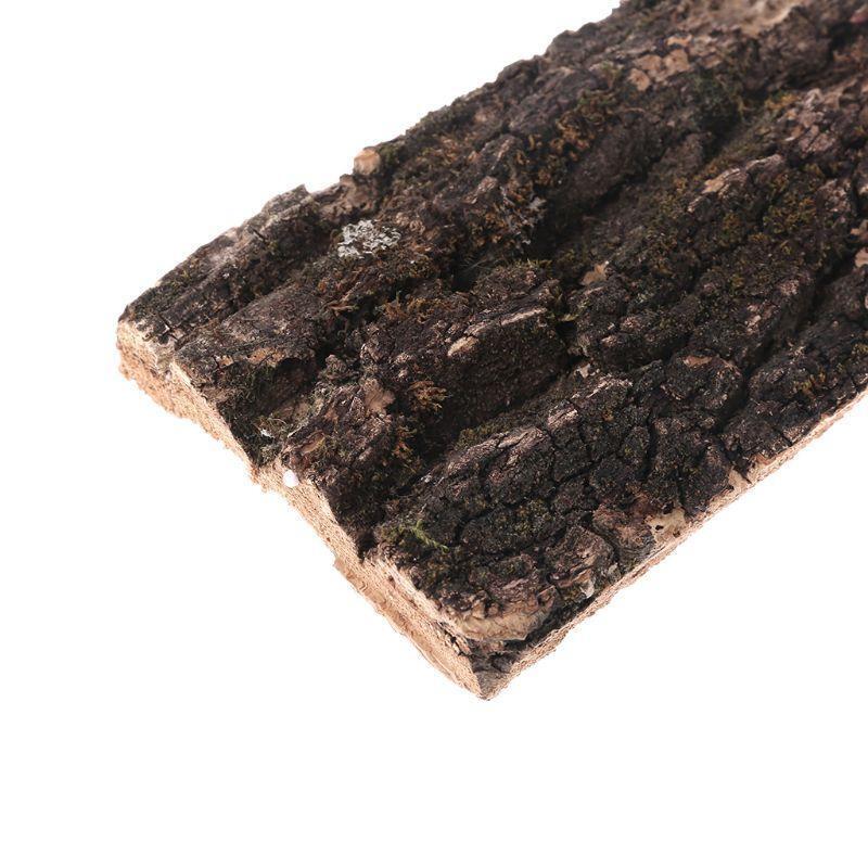 Flat Cork Bark Terrariums Water Tank Decorations for Orchids Airplants Reptiles