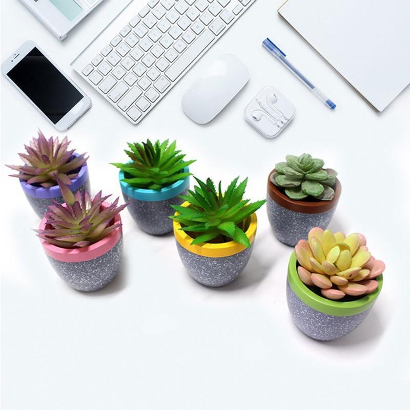 6Pcs Garden Pots Fit for Most Succulent Plants Flowers Indoor Planter Supplies