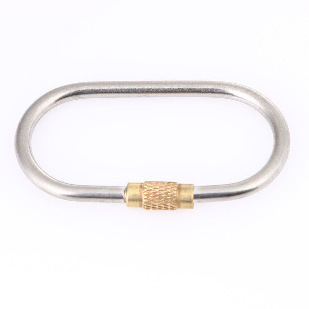 D Shape Titanium Alloy Screw Lock Carabiner Clip Hook Keychain Camping