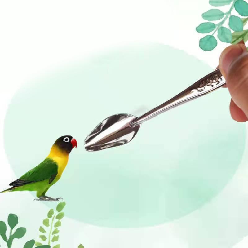 Parrot Feeding Spoon Stainless Steel Feed Scoop Animals Care Tool for Budgie