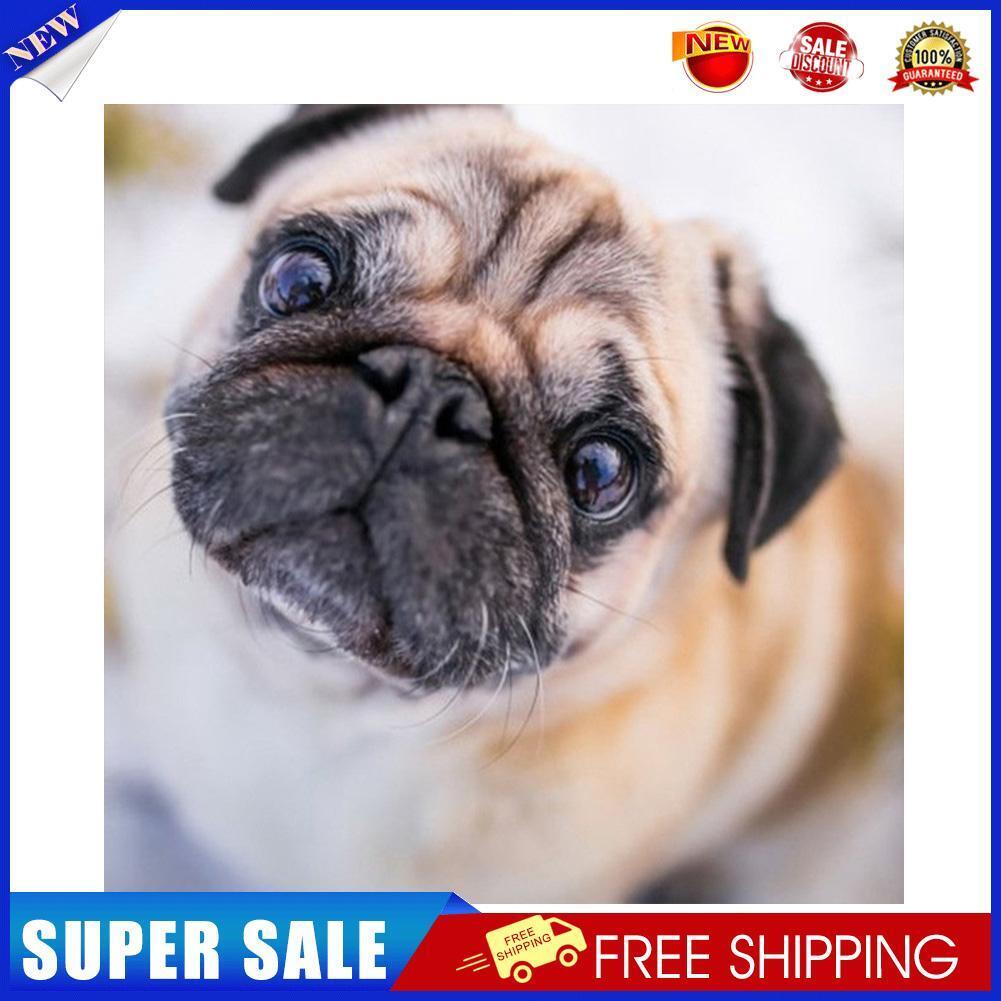 5D DIY Diamond Painting Pug Full Round Drill Mosaic Picture Kit Wall Art