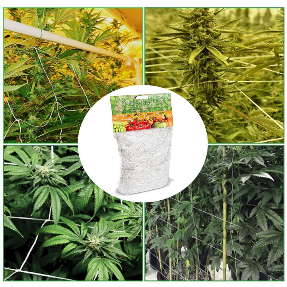 Garden Plant Climbing Net Polyester Grape Vine Grow Support Trellis Netting