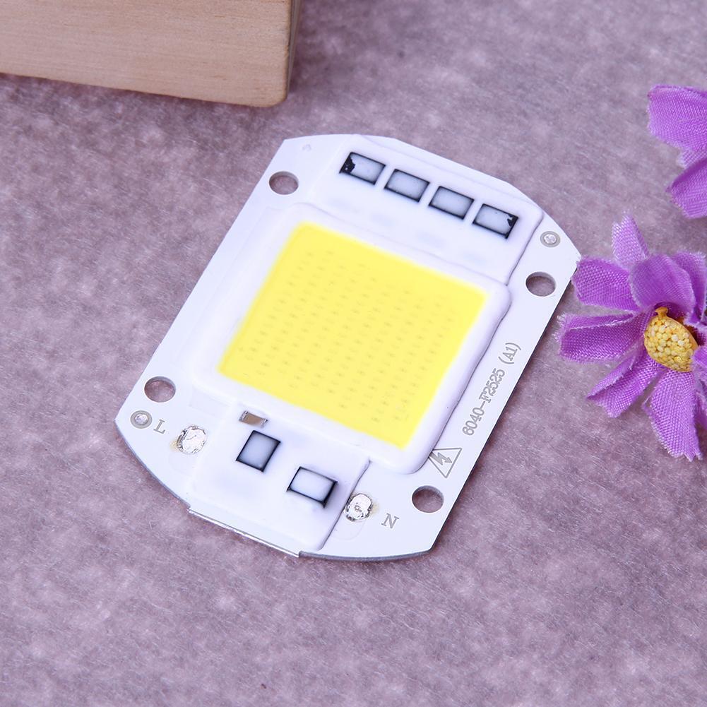 50W LEDs Floodlights COB Chip 220V Input Integrated IC Driver(White)