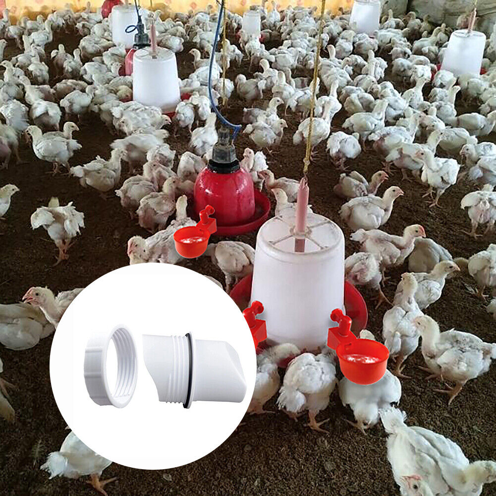 Rainproof Poultry Feeder Port DIY Chicken Duck Feeding Kit Breeding Tools