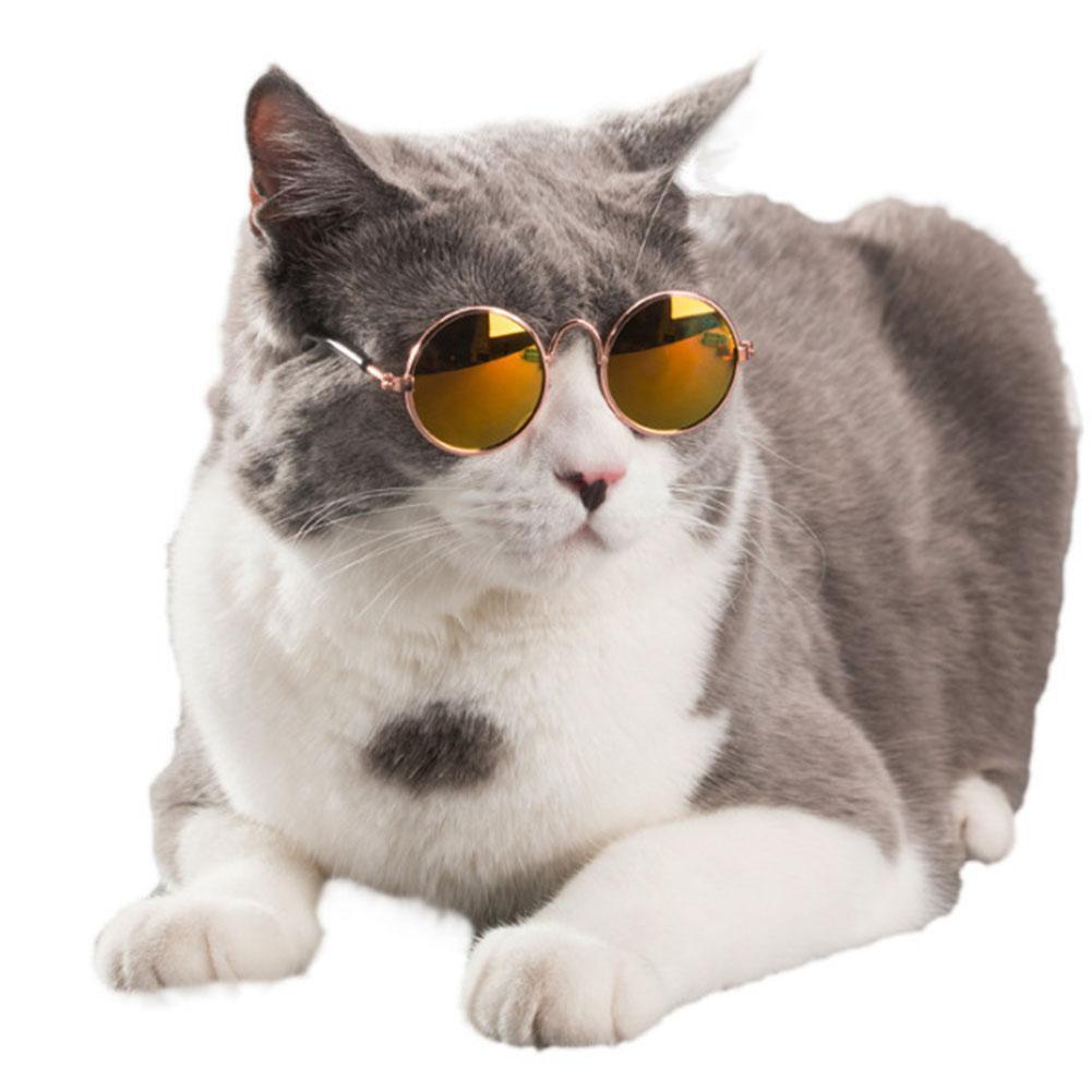 Fashion Pet Glasses for Small Dogs Puppy Cat Sunglasses Photos Props Decor