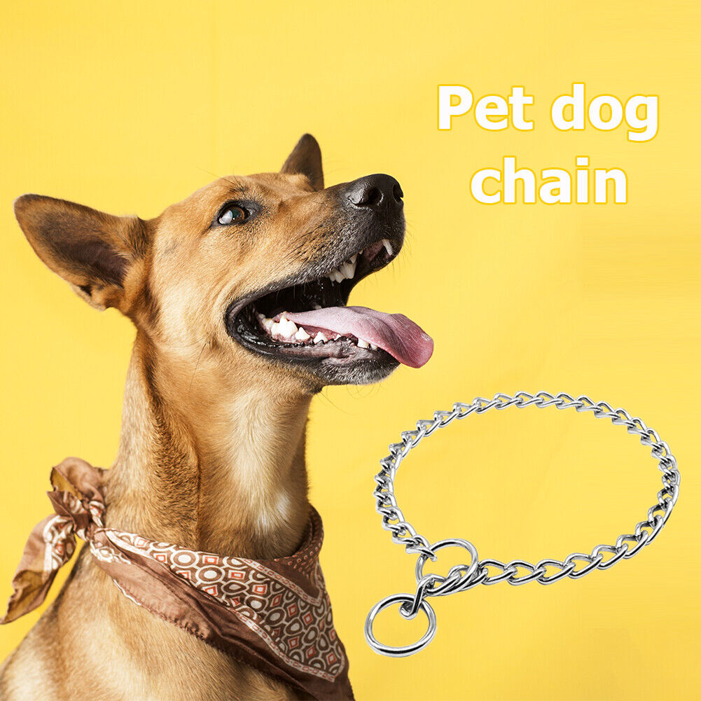 Dog Training Choker Chain Small Medium Large Dog Stainless Collar (28 inch)