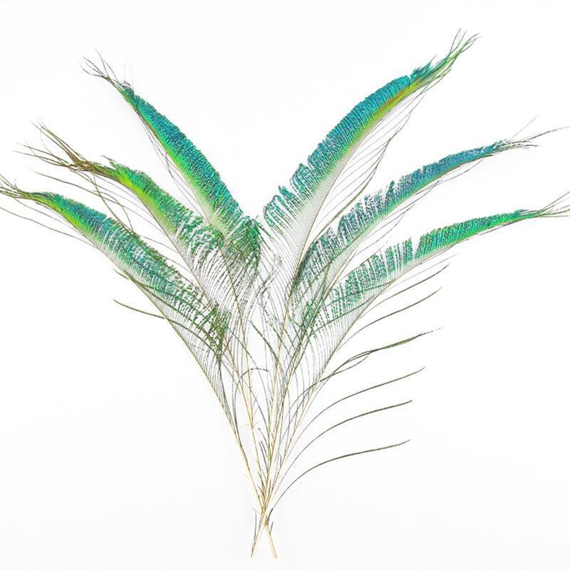 20 Pieces/Pack Natural Peacock Sword Feathers Exquisite Birthday Gift Box Filler