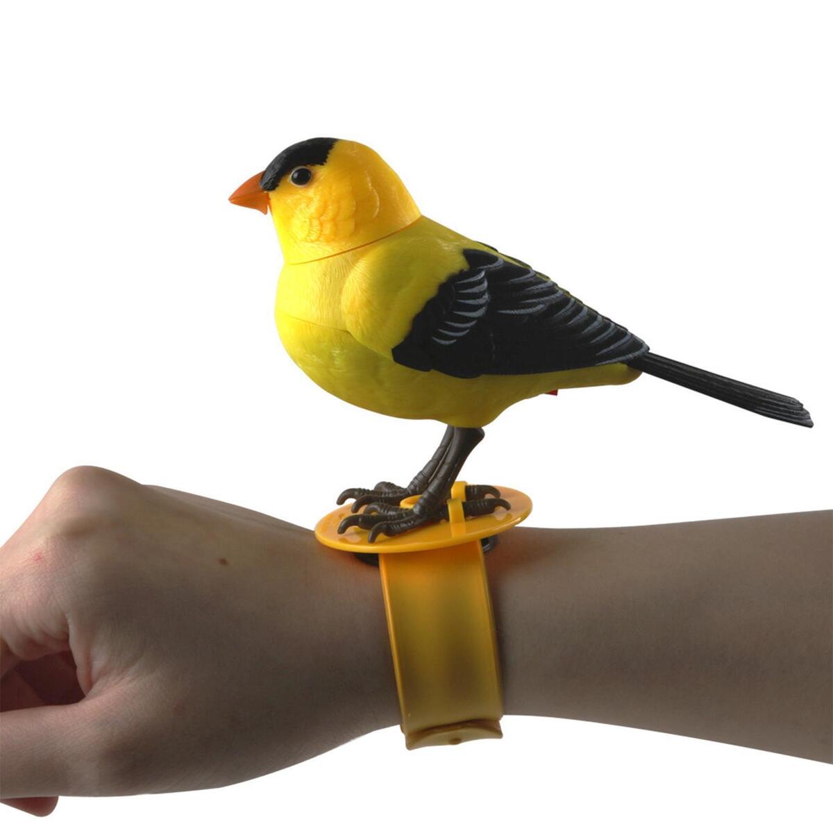 2x Activated Gifts Talking Parrot  Voice Control Singing Bird
