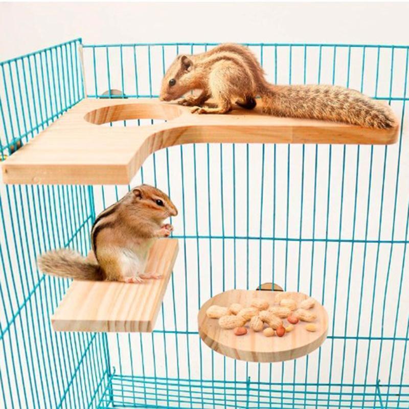 4 Pieces Wood Platform for Small Pet Animals Parrot Parakeet Conure Cockatiel