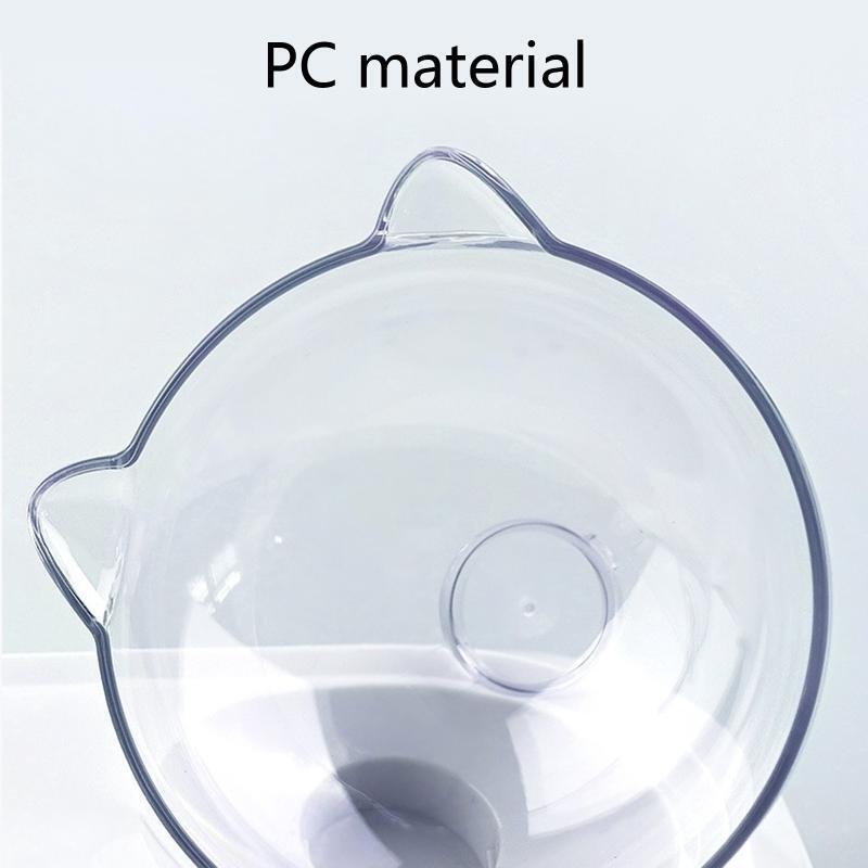 Cat Food Bowl Set for Food and Water 15° Tilted Elevated Double Dish with Stand
