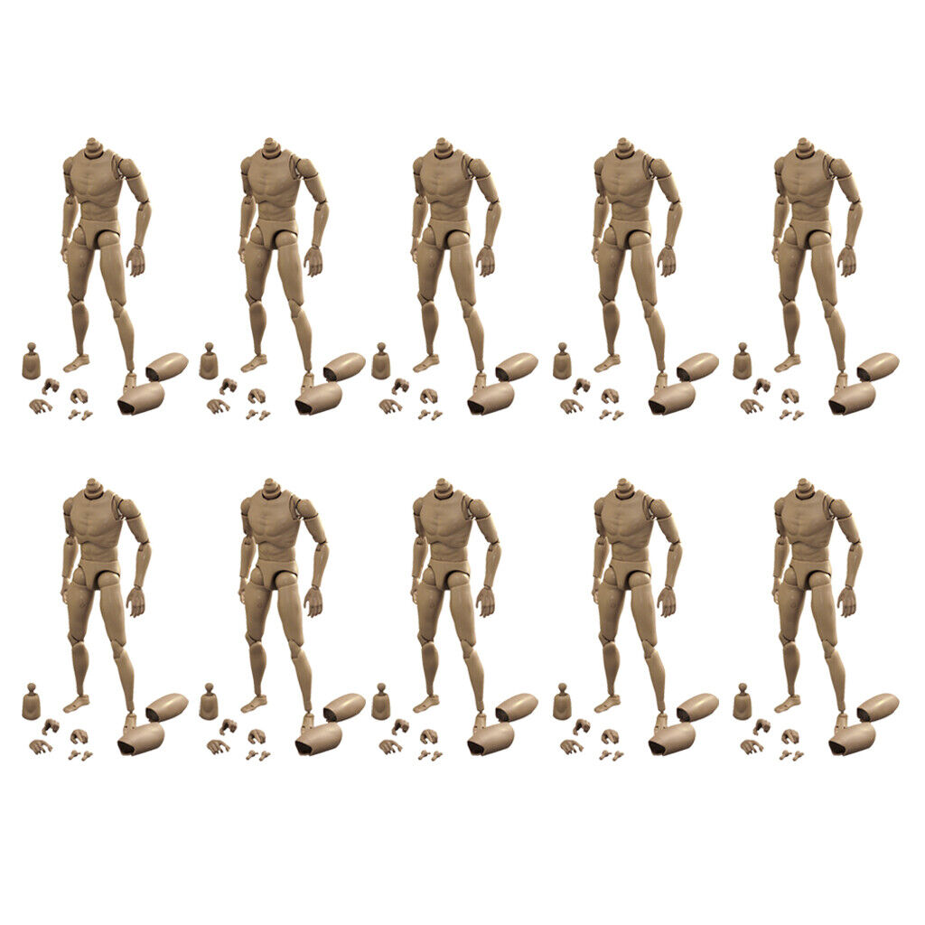 10Pcs 1/6 Scale Hot  Body Sketch Skeleton for Dragon DML BBI DID