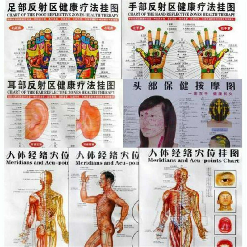 7pcs/set English Acupuncture Meridian Acupressure Points Posters Chart Wall Map