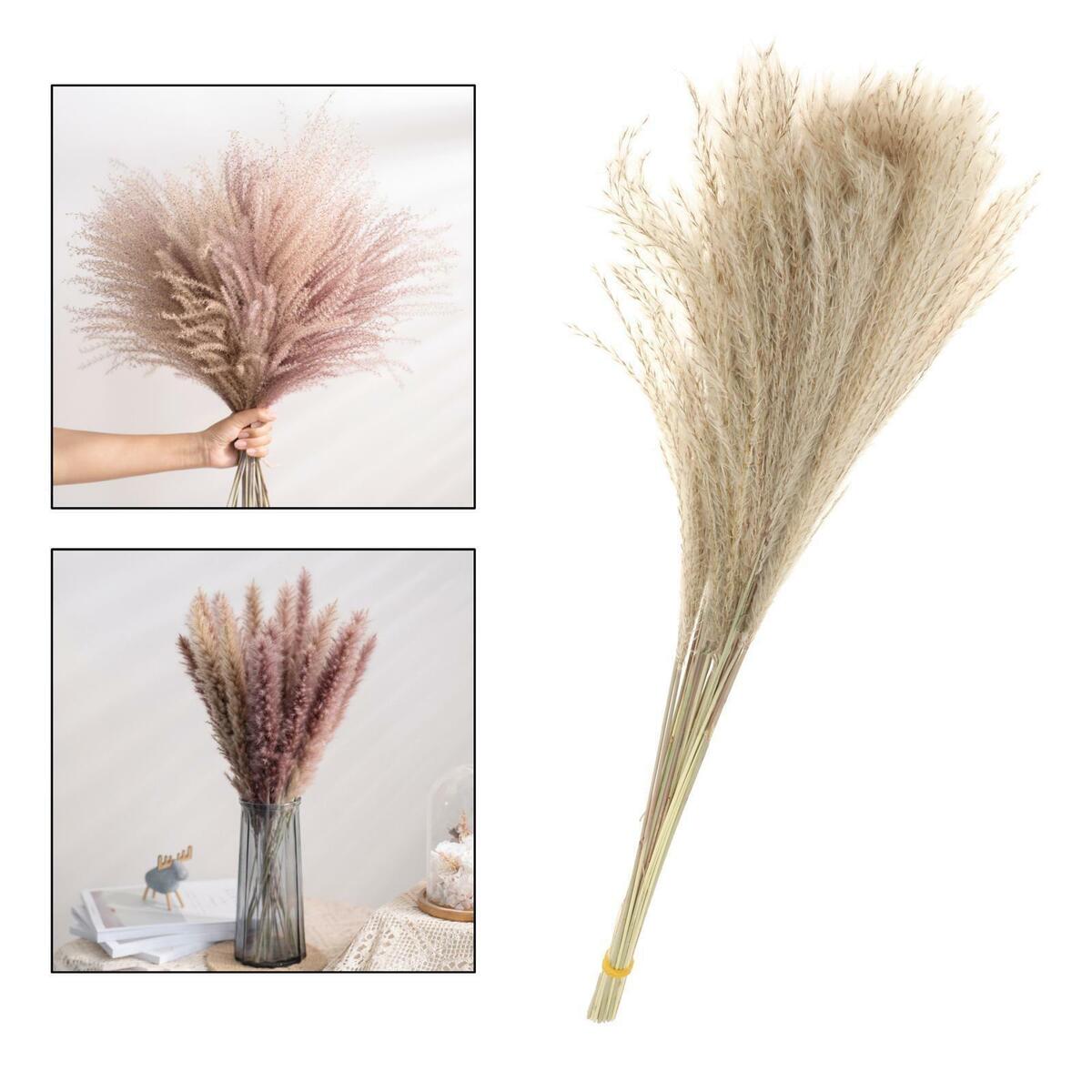 of 70 Rustic Dried  Grass Bunch  Living Room Table  Decor