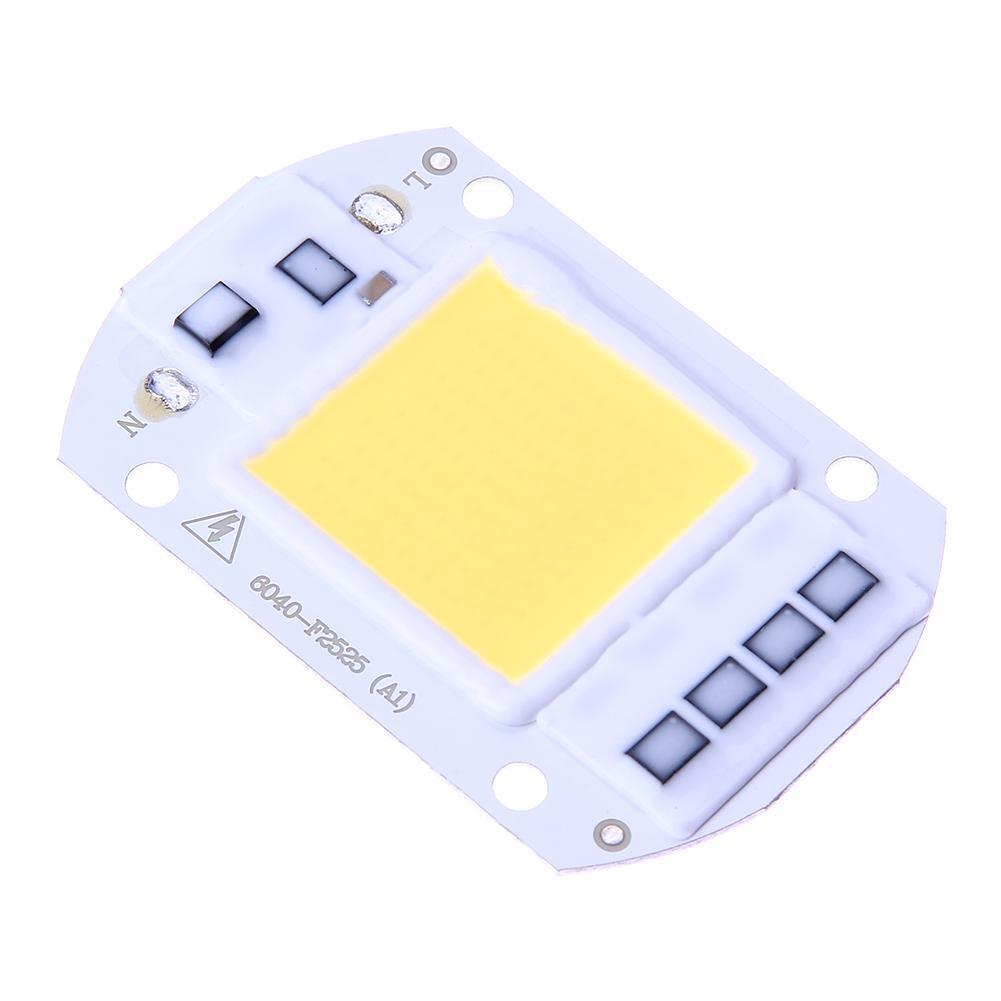 50W LEDs Floodlights COB Chip 220V Input Integrated IC Driver(White)