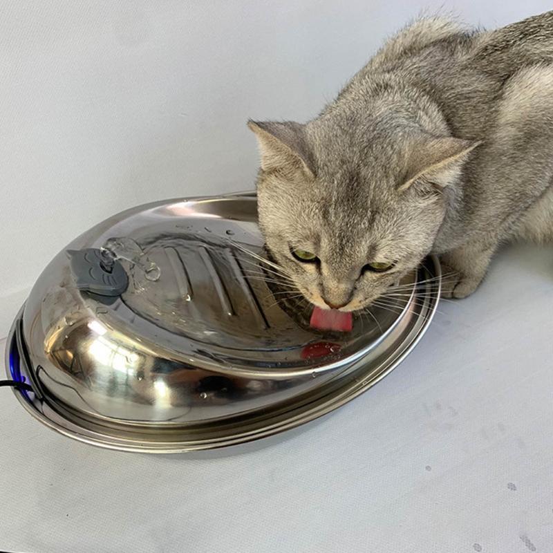 Pet Drinking Water Dispenser for Cats and Dogs Indoor with 2 Filter Replacement