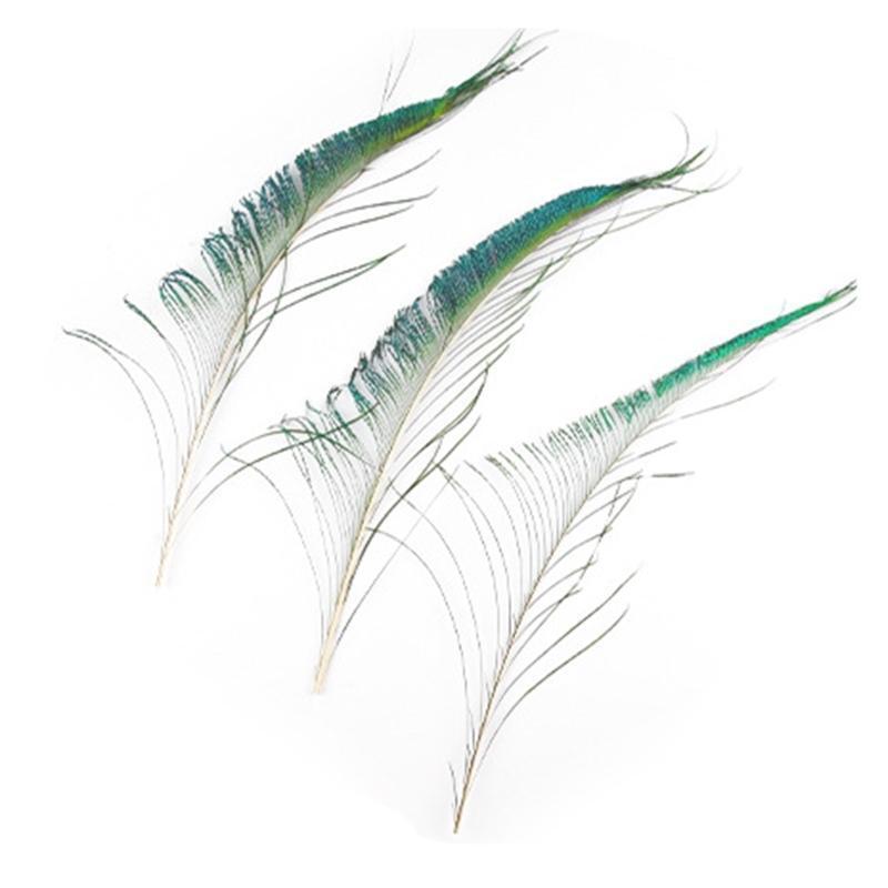 20 Pieces/Pack Natural Peacock Sword Feathers Exquisite Birthday Gift Box Filler