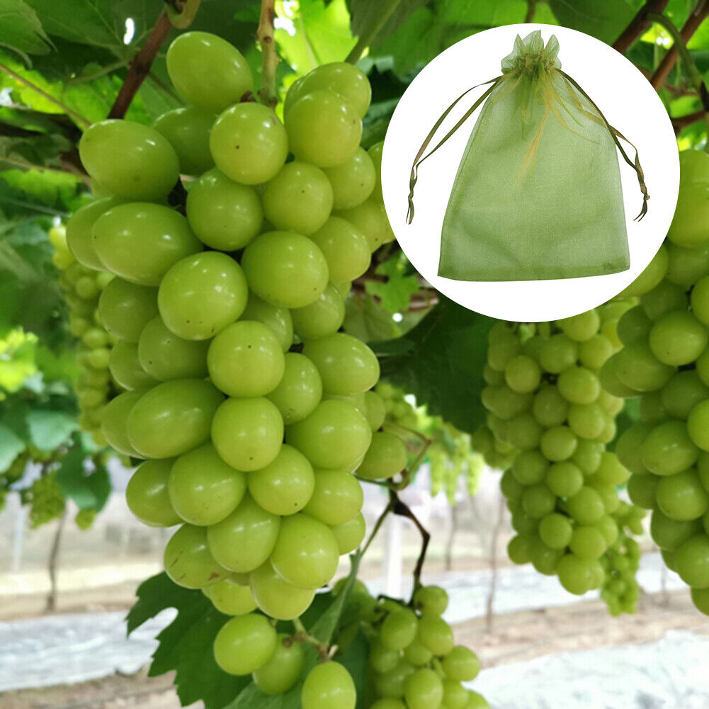 50pcs Garden Drawstring Net Bags Vegetable Fruit Grapes Protection Pouch