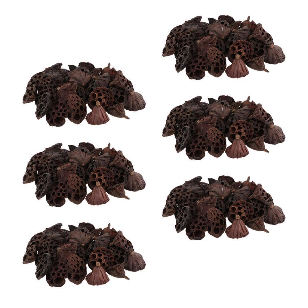 180pcs Natural Dried lotus pod Flowers Fruit for floral decor crafts DIY