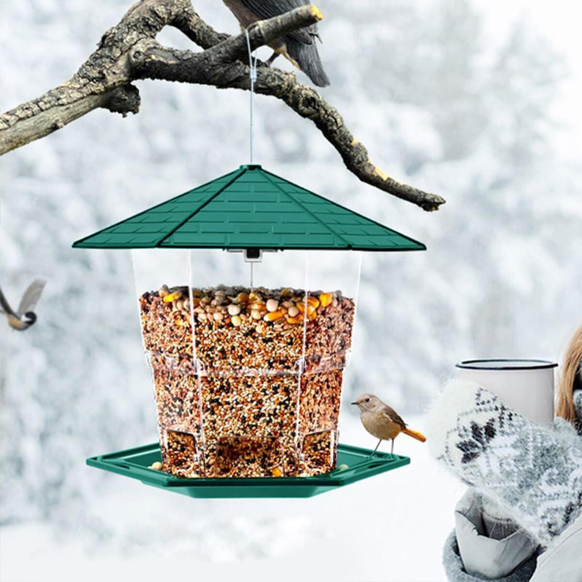 Food Dispenser Hanging Decoration Backyard Tree Feeding   Feeder