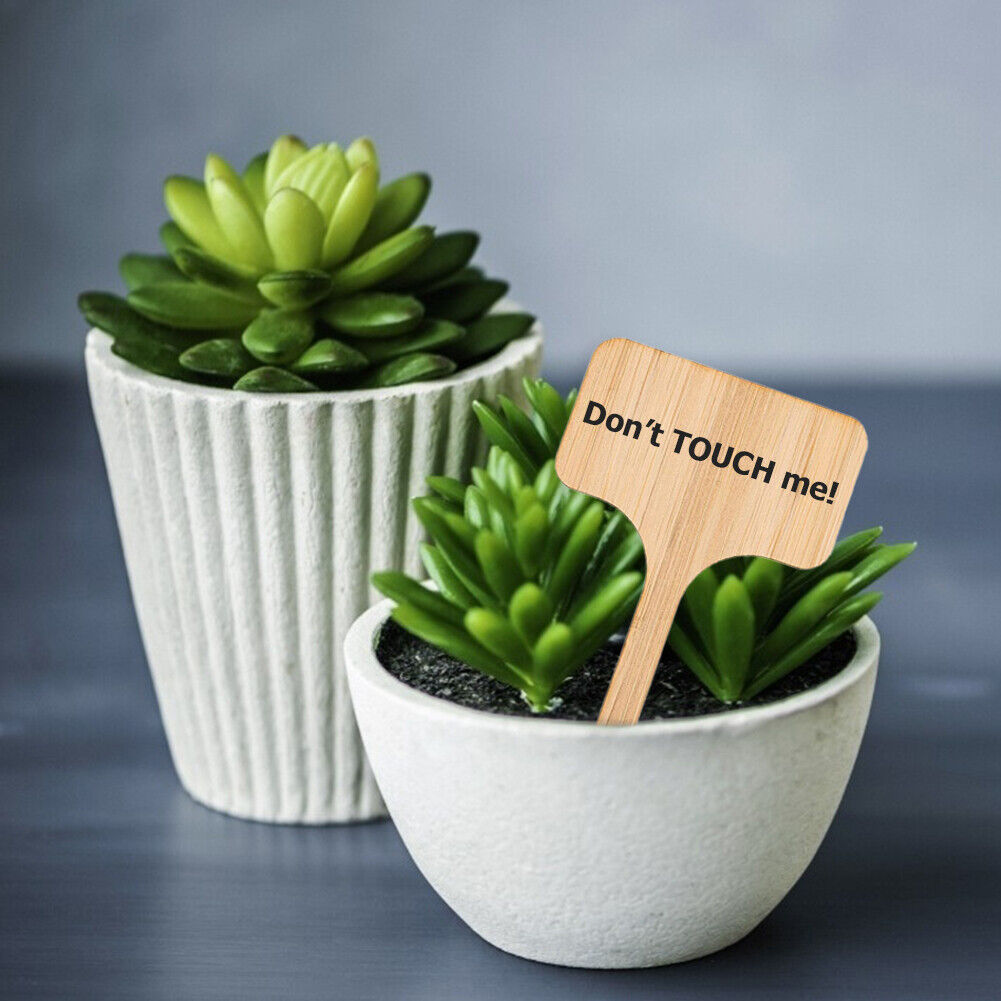 50x Wooden T-Shape Plant Labels Seed Potted Herbs Flowers Sign Tags Sticks