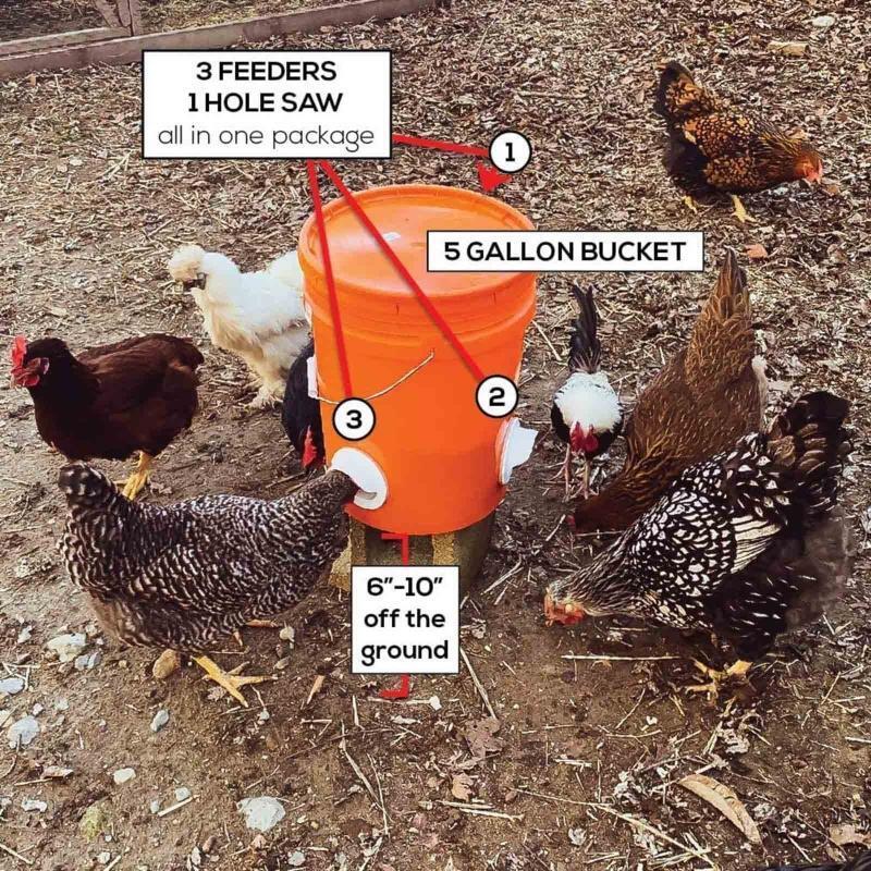 Rain Proof Poultry Feeder Port Gravity Feed Kit for Buckets Barrels Boxes DIY