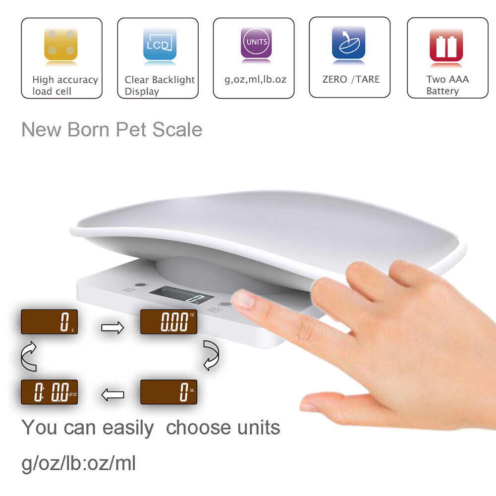Mini Digital Scale Electronic LCD High Precision Gram Pet Weighing Scale