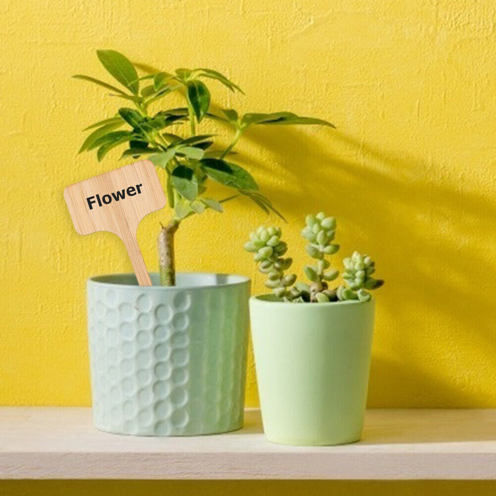 50x Wooden T-Shape Plant Labels Seed Potted Herbs Flowers Sign Tags Sticks