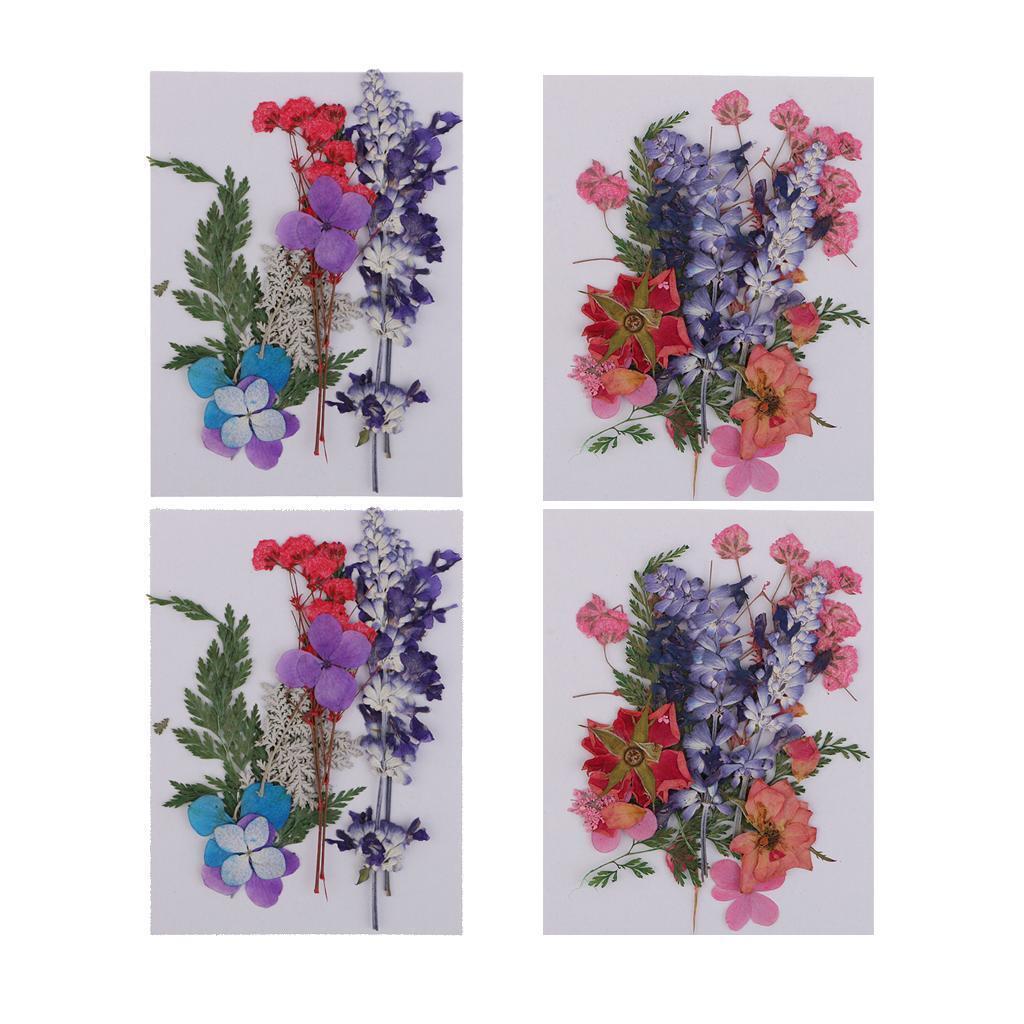 Set of 4   Dried Pressed Flowers Mixed  Crafts Making