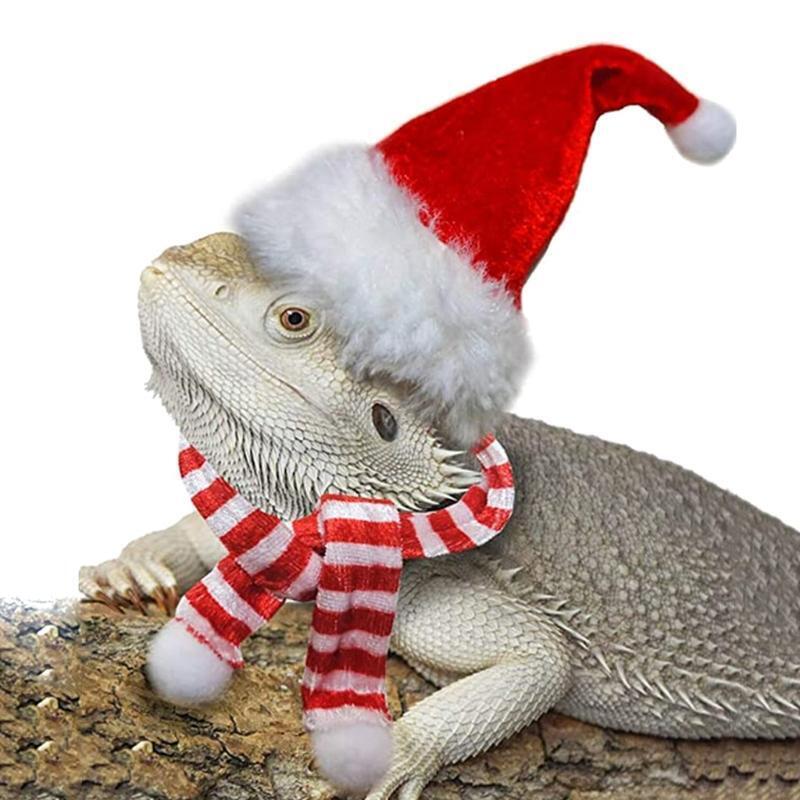 Bearded Dragon Harness Leash Set Adjustable for Small Pet Christmas Costume
