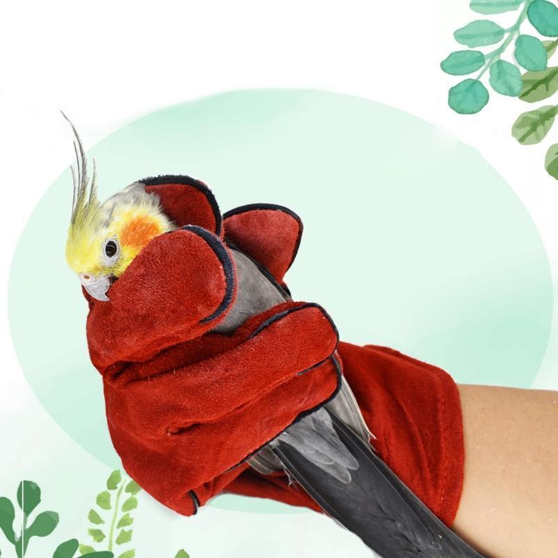 Bird Training Anti-bite Gloves Parrot Chewing Working Safety Protective Gloves